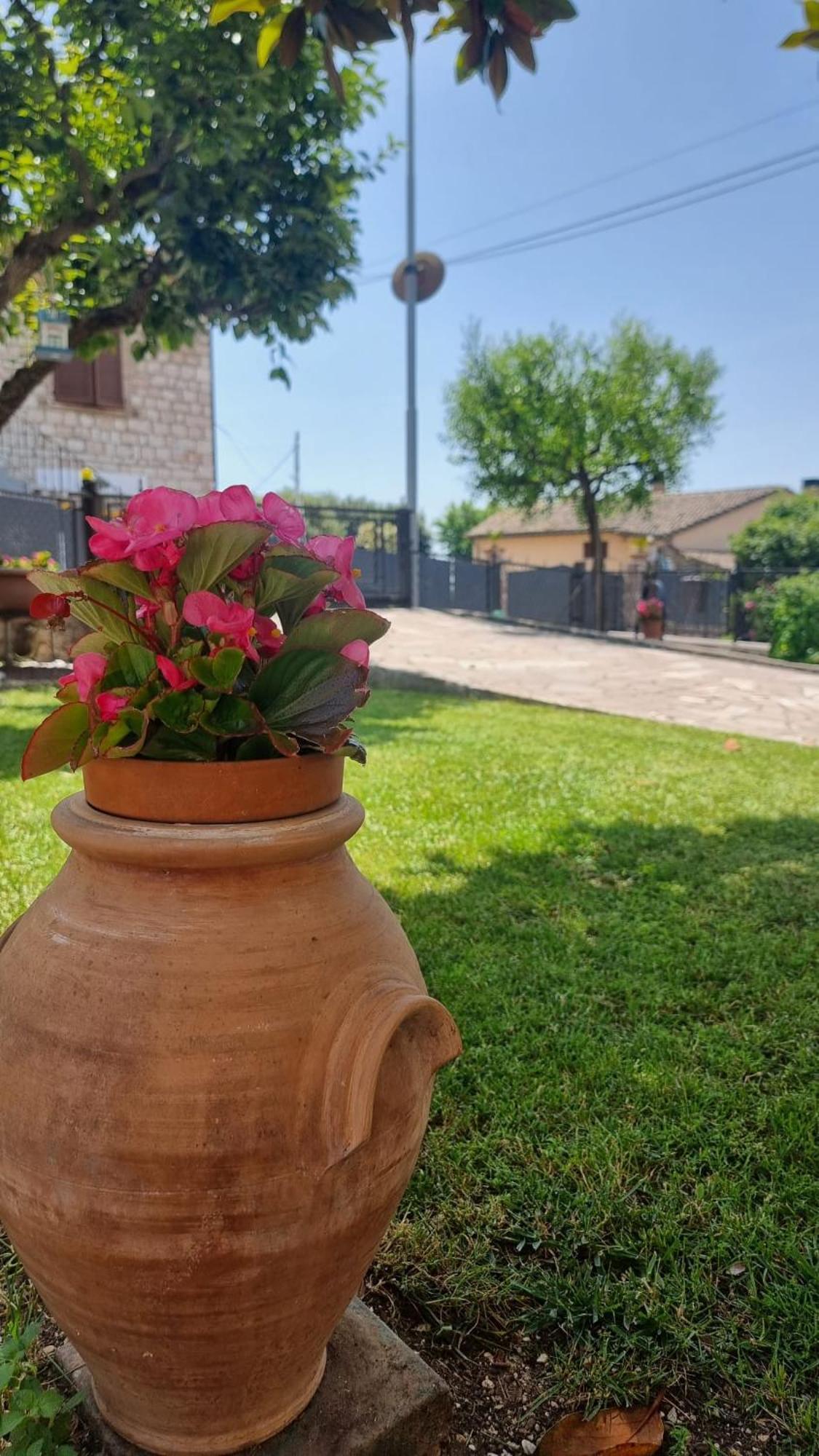 La Casa Dei Fiori